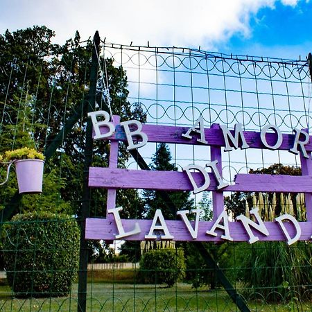 Amor Di Lavanda ชินโกลิ ภายนอก รูปภาพ