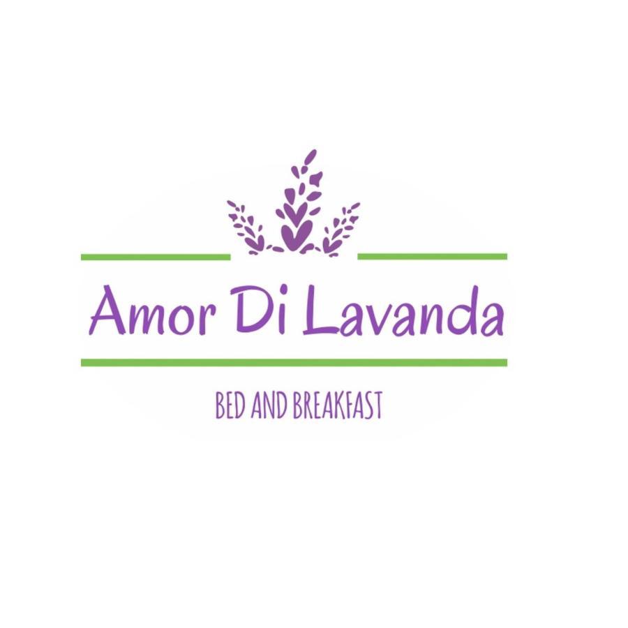 Amor Di Lavanda ชินโกลิ ภายนอก รูปภาพ