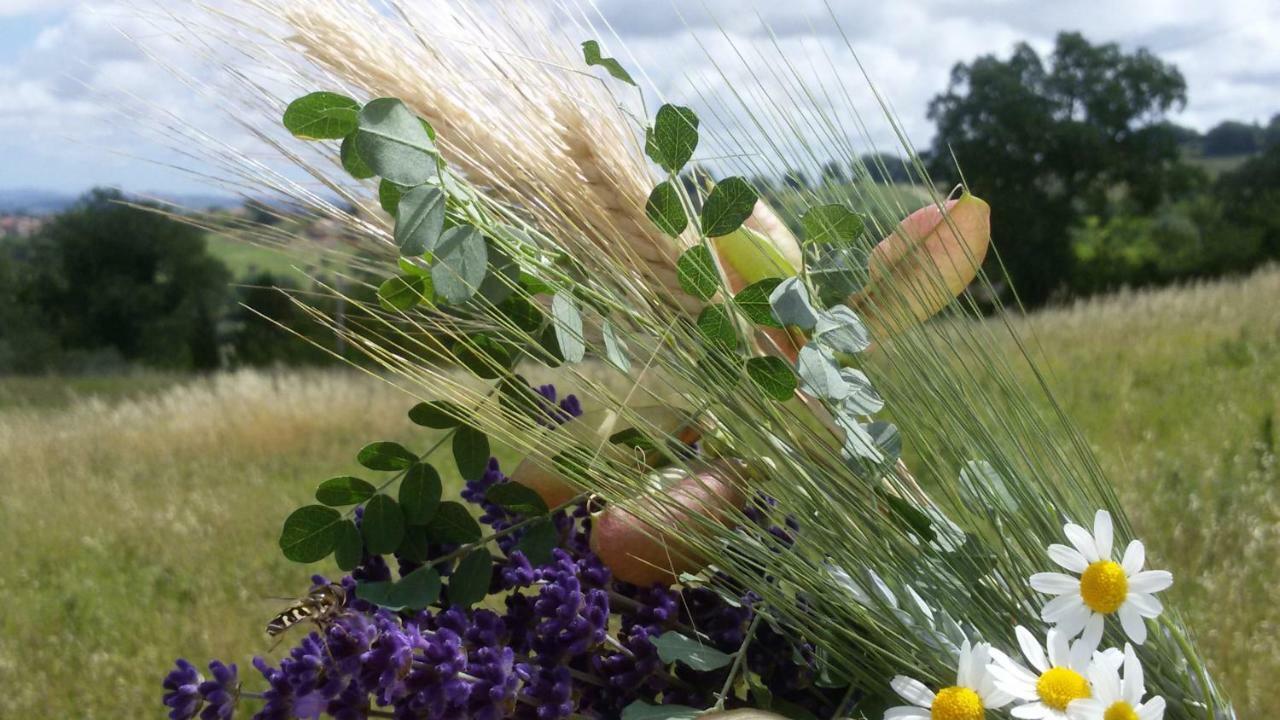 Amor Di Lavanda ชินโกลิ ภายนอก รูปภาพ