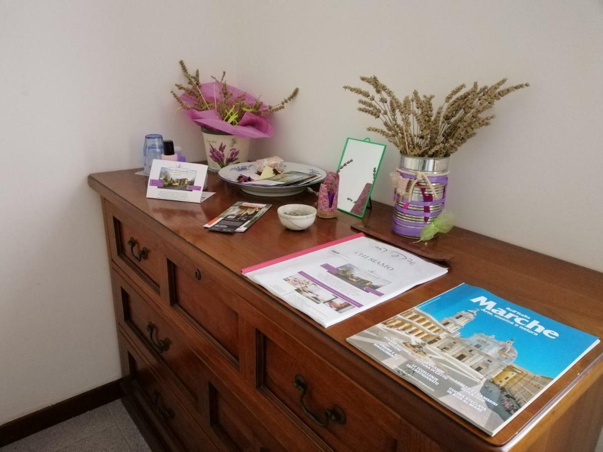 Amor Di Lavanda ชินโกลิ ภายนอก รูปภาพ