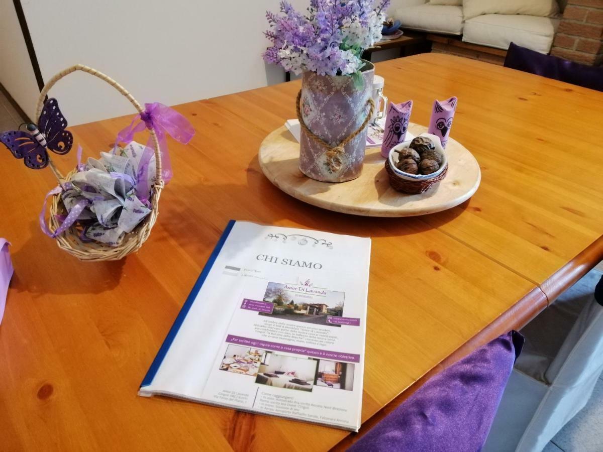 Amor Di Lavanda ชินโกลิ ภายนอก รูปภาพ